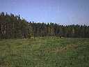 2001