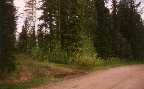 Kes�