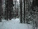 Joulukuu 1998