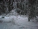 Joulukuu 1998