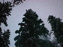 Joulukuu 1998